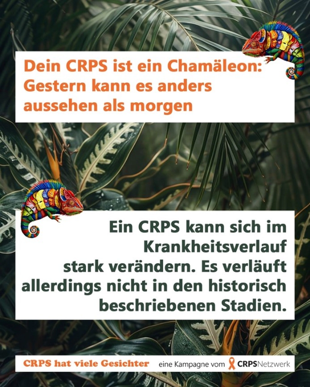 Dein CRPS ist ein Chamäleon: Gestern kann es anders aussehen als morgen. Ein CRPS kann sich im Krankheitsverlauf stark verändern. Es verläuft allerdings nicht in den historisch beschriebenen Stadien. 