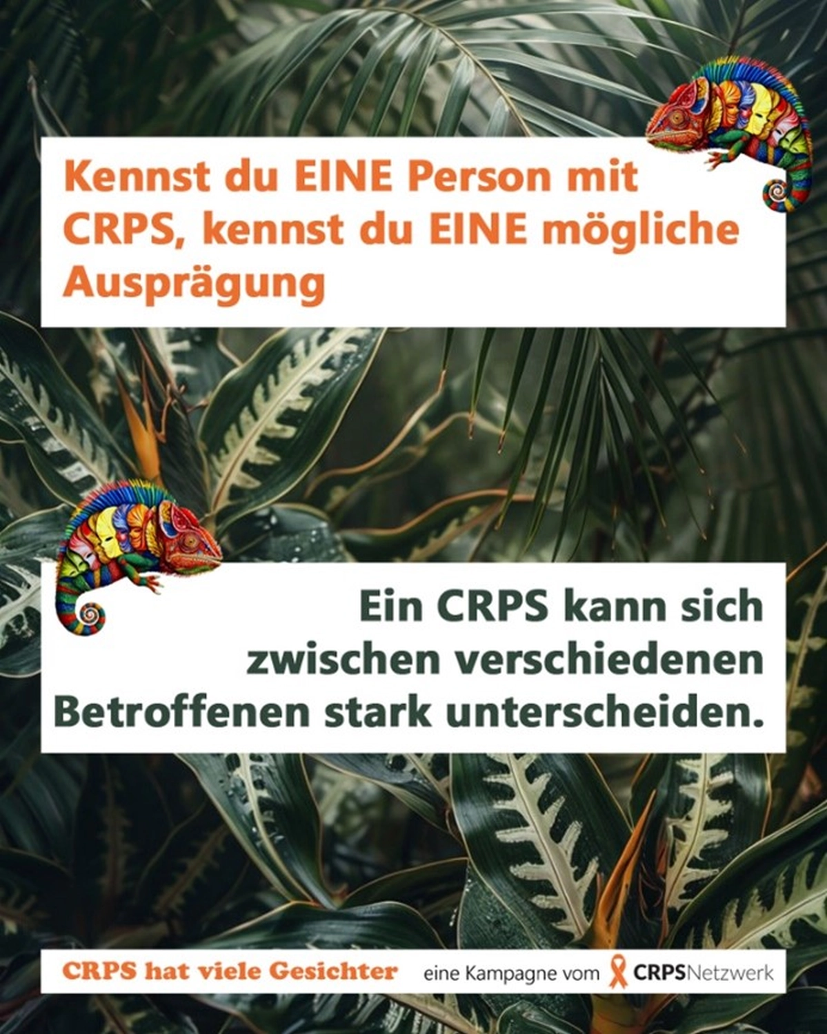 Kennst du EINE Person mit CRPS, kennst du EINE mögliche Ausprägung. Ein CRPS kann sich zwischen verschiedenen Betroffenen stark unterscheiden.